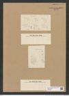 Coscinodiscus sp. (de-Toni-Nr.: Genus 202, Species 4882 ?) Zeichnungen Sammlung Grunow Nr. 8921 (NHMW-BOT-W0378591)